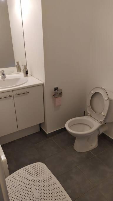 T2 De 42M² A Proximite De La Gare A 30Min De Paris Leilighet Mantes-la-Jolie Eksteriør bilde